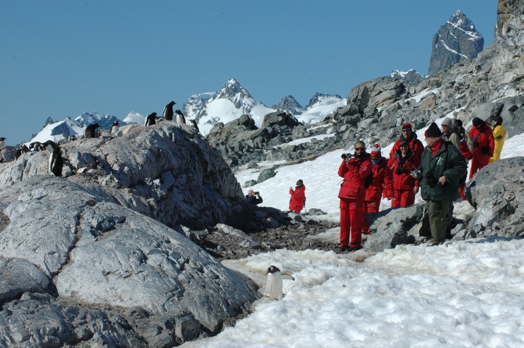 Visitors on Cuverville Island maintaining their distance from gentoo penguins 1
