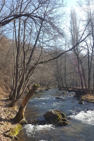 The Gradac River gorge, a protected area. Photo (c) Ivana Damnjanović