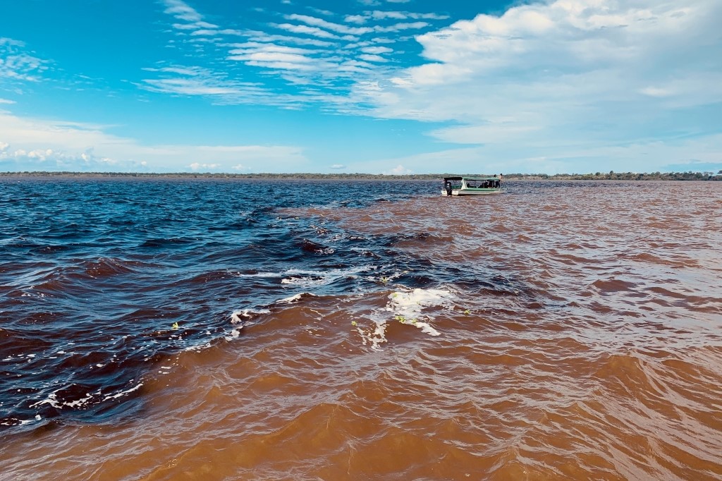 Encontro das águas. The start of the Amazon River, Brazil. Pic (c) Angelo Sciacca.