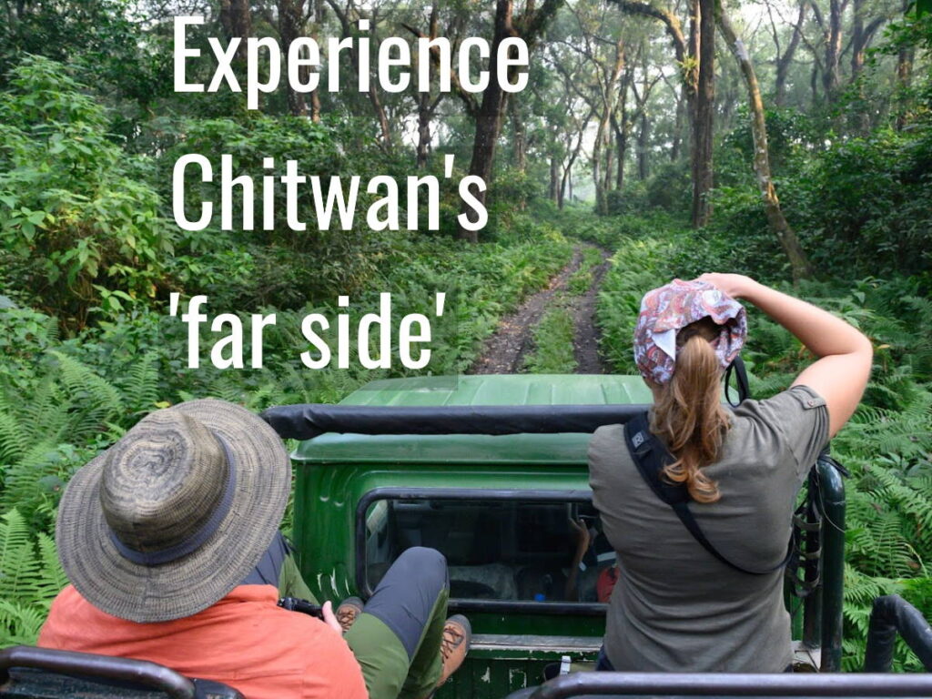Experience Chitwan National Park's far side on an open-hood jungle safari Picture Courtesy Community Homestay Network