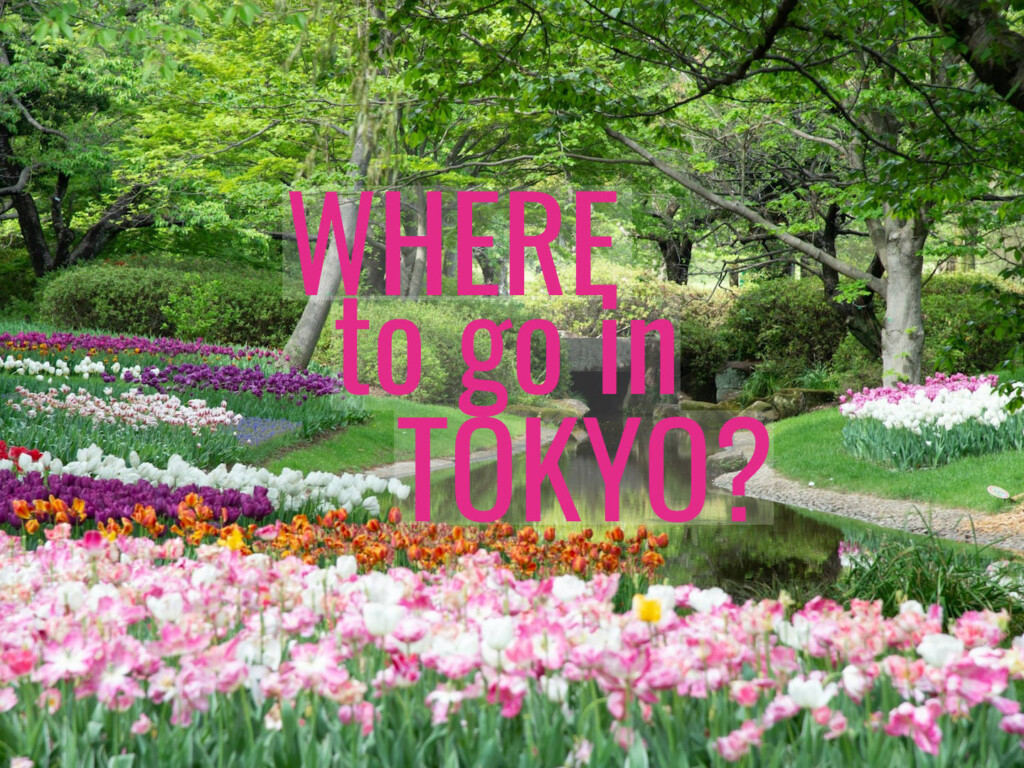 Places to go in Greater Tokyo include Showa Kinen Koen. Pic by Norikio Yamamoto (CC0) via Unsplash. https://unsplash.com/photos/purple-flowers-near-green-trees-and-river-during-daytime-7pjnQXsjqw0