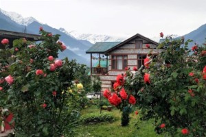 Lagom Stay homestay, Jagatsukh village, Himachal Pradesh state, India