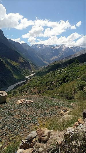 Kinnaur Valley, India. Image (c) Rieki Crins