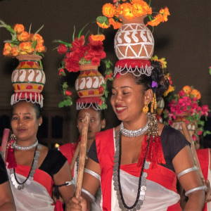 Tharu cultural performance by local women of Barauli, on the western end of Chitwan National Park, Nepal. Picture Courtesy Community Homestay Network.