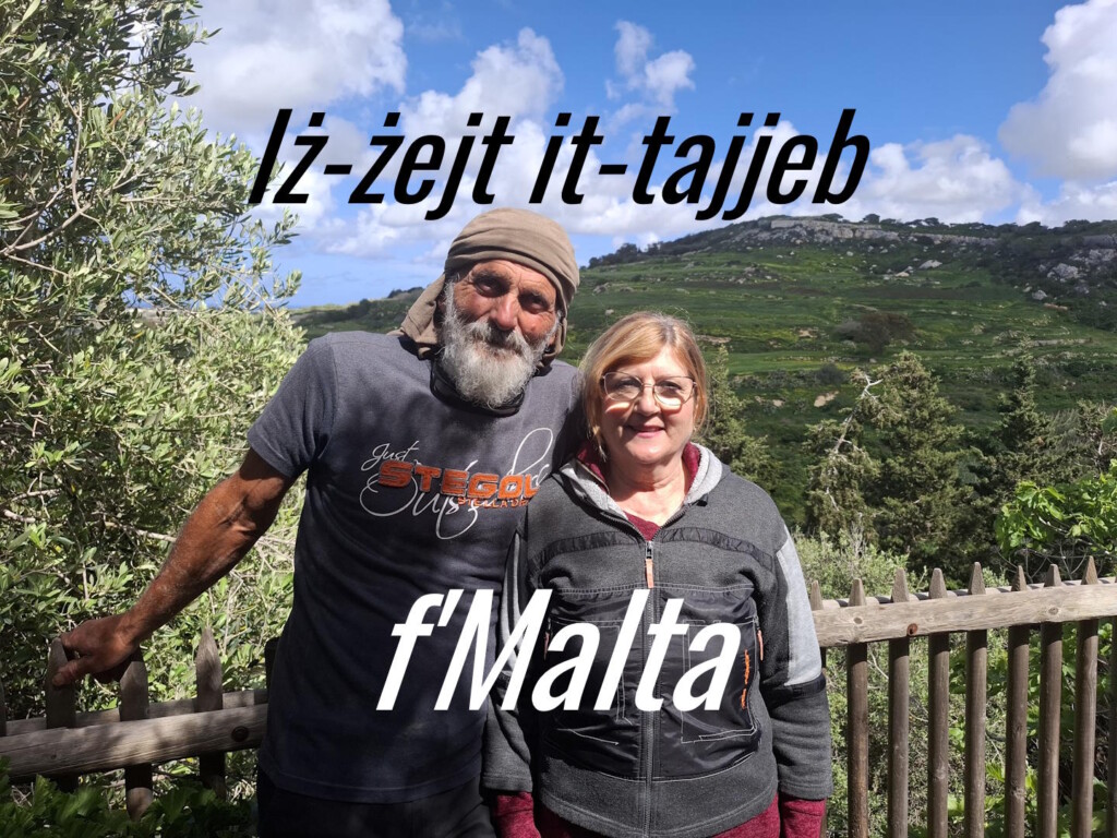 Charlie and Bella Vella produce great olive oil from their Tan-Nixxiegħa Olive Grove in Malta, according to author Jim Butcher who supplied the picture. Iż-żejt tajjeb f'Malta ('the good oil in Malta'). The Merill Rural Network introduced Dr Butcher and his study group to Tan-Nixxiegħa Olive Grove.