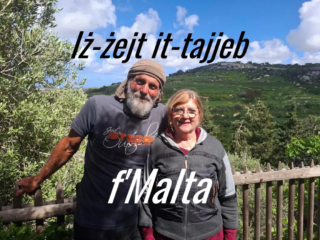 Charlie and Bella Vella produce great olive oil from their Tan Nixxiegha Olive Grove in Malta according to author Jim Butcher who supplied the picture