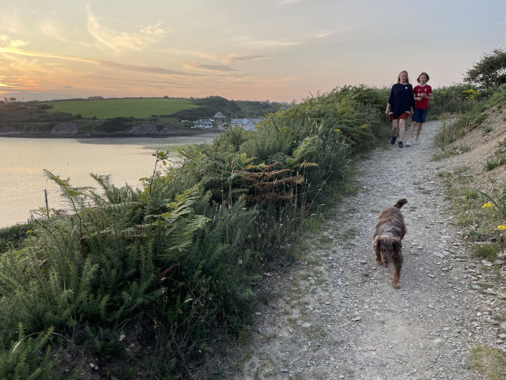 How our rescue dog became our travel influencer 9 Golden time walk with Mabel, our dog. How our rescue dog became our travel influencer