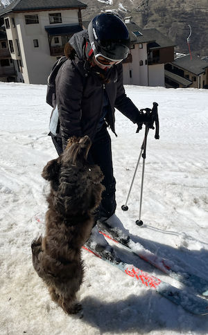 How our rescue dog became our travel influencer 7 Greeting skiers
